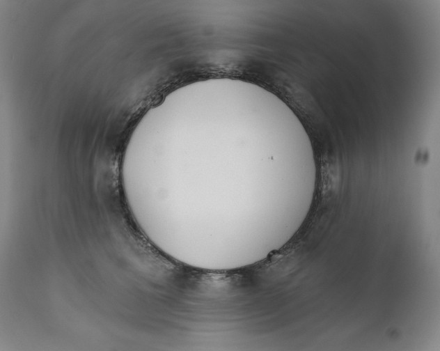 X0000110760613200907061056