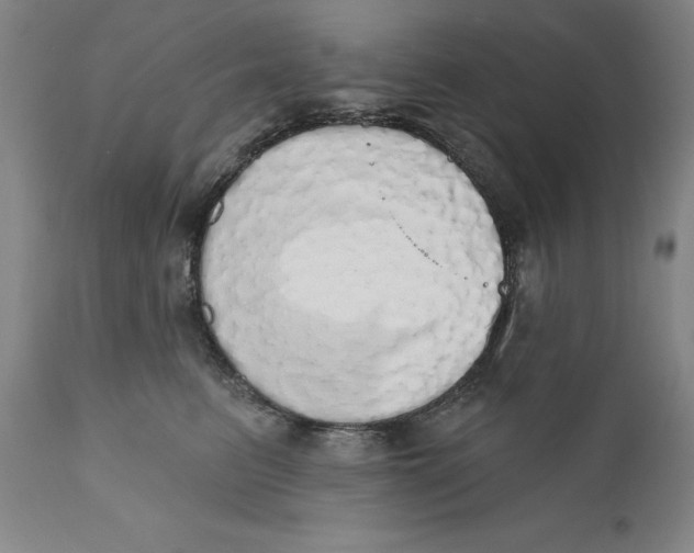 X0000110760615200907061056