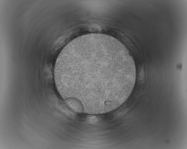 X0000110760616200907061056