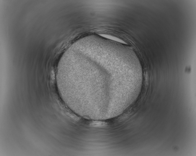 X0000110760617200907061056