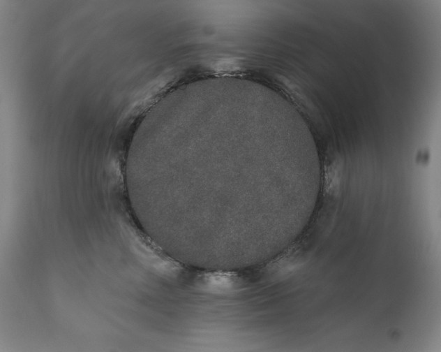 X0000110760618200907061056