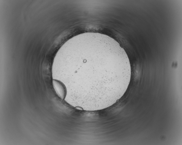 X0000110760619200907061056