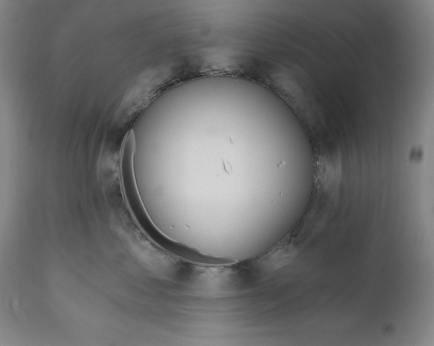X0000110760621200907061056