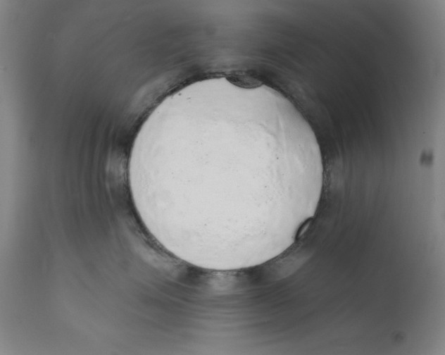 X0000110760623200907061056