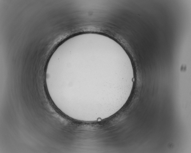 X0000110760625200907061055