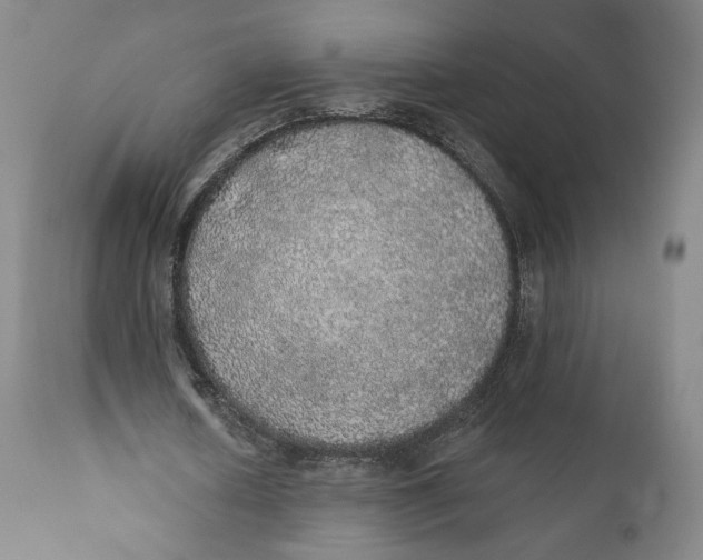 X0000110760626200907061056