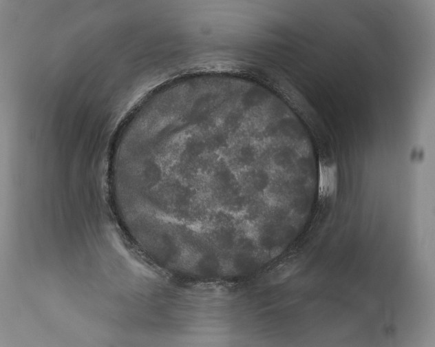 X0000110760627200907061056