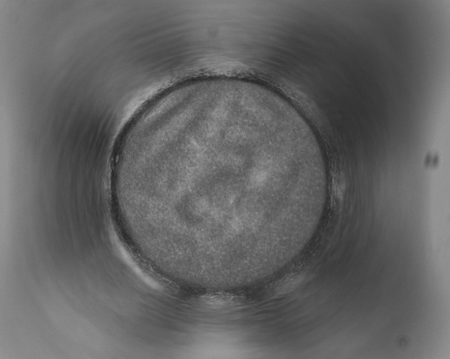 X0000110760630200907061056