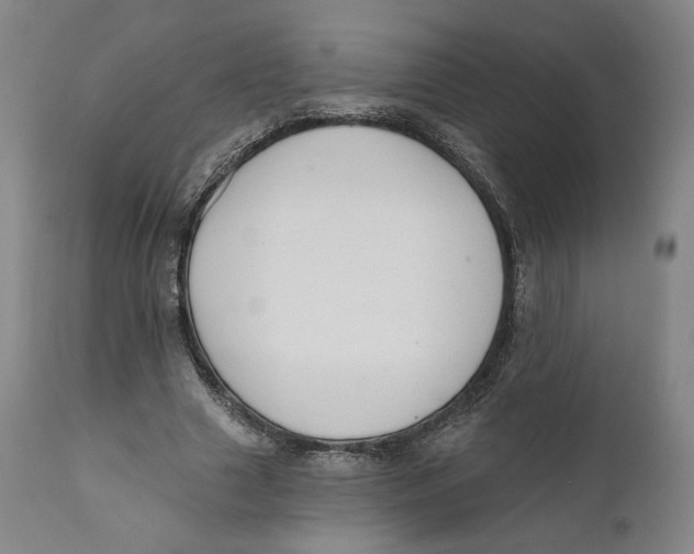 X0000110760633200907061056