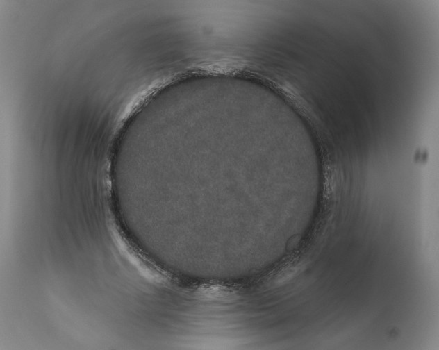 X0000110760634200907061056