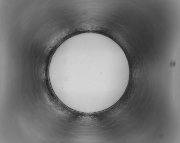 X0000110760635200907061056