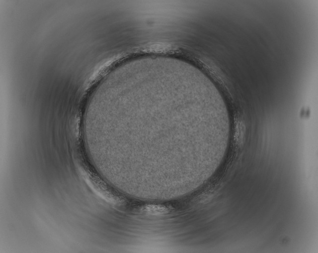 X0000110760636200907061056