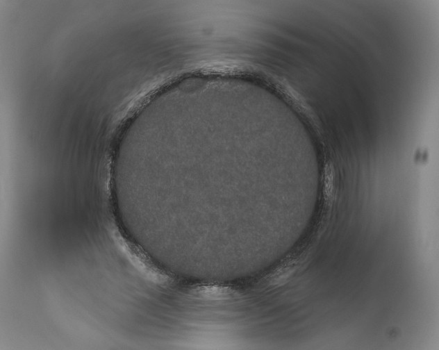 X0000110760637200907061056
