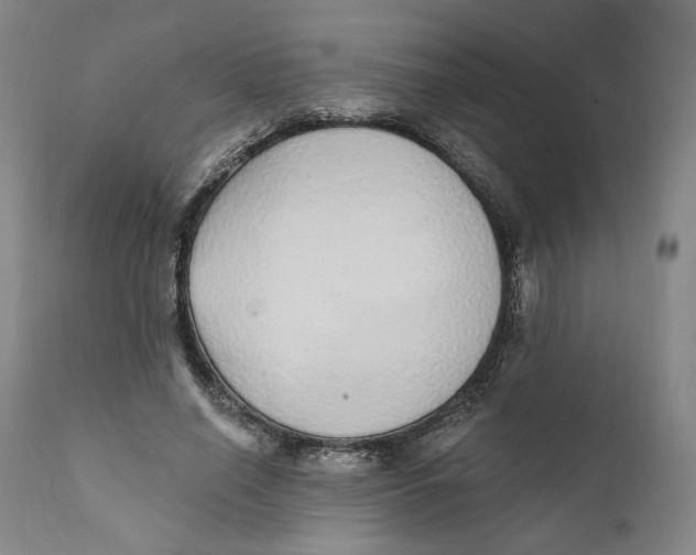 X0000110760638200907061056