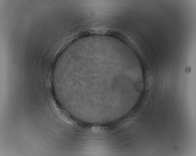 X0000110760641200907061056