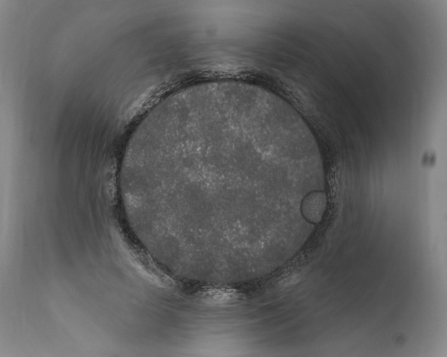 X0000110760642200907061056