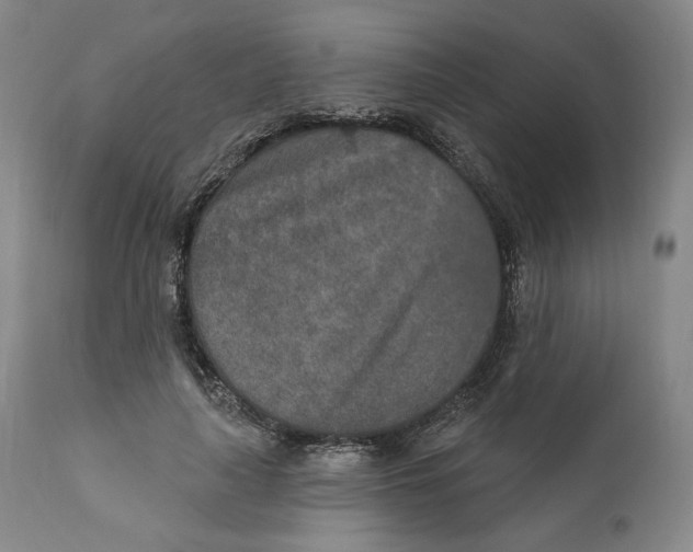 X0000110760643200907061056