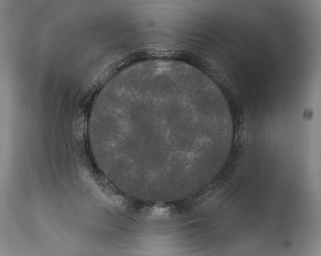 X0000110760647200907061056