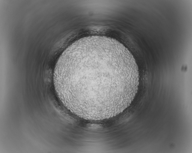X0000110760649200907061056