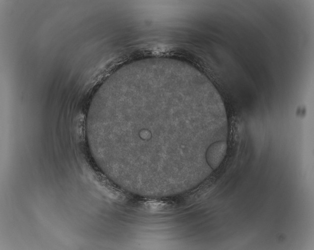 X0000110760650200907061056