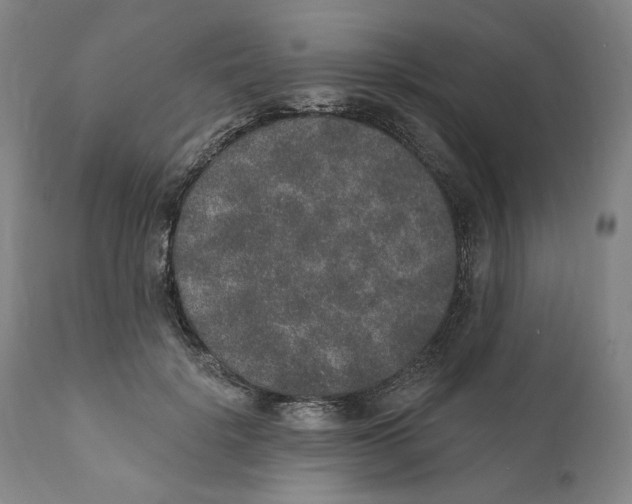 X0000110760652200907061056