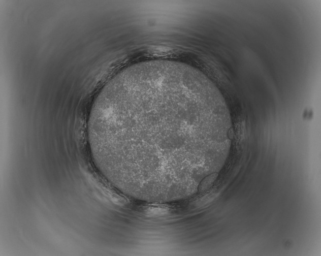 X0000110760653200907061056