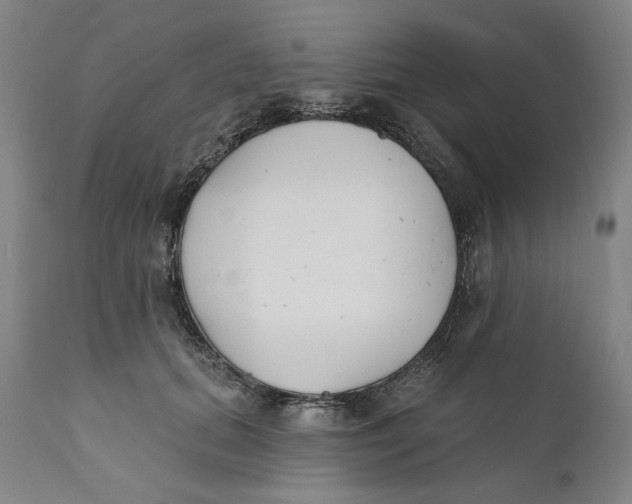 X0000110760655200907061056