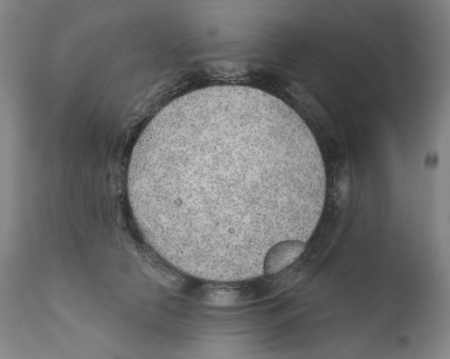 X0000110760658200907061056