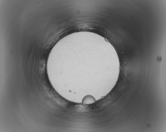 X0000110760660200907061056