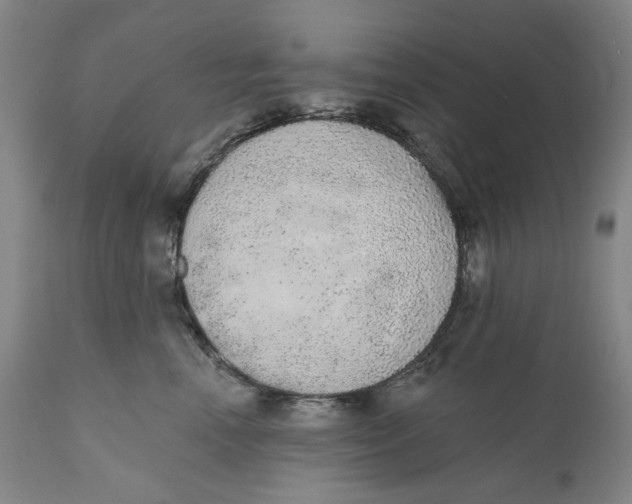 X0000110760666200907061056