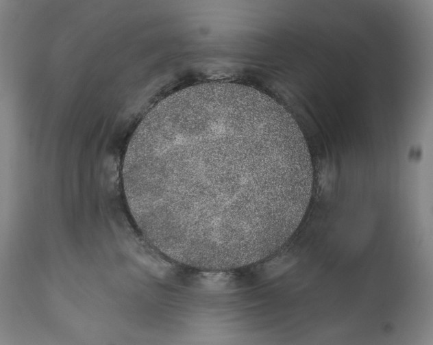 X0000110760667200907061056