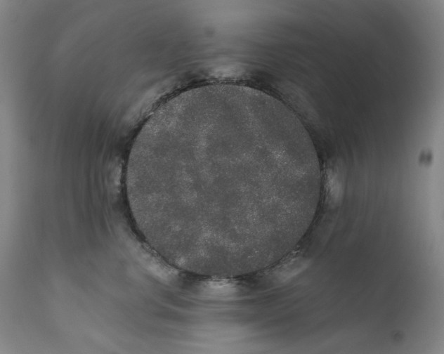 X0000110760668200907061056