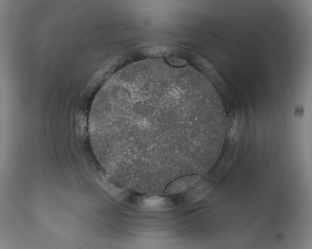 X0000110760669200907061056