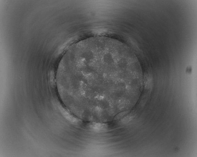 X0000110760670200907061056