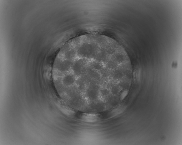 X0000110760671200907061056
