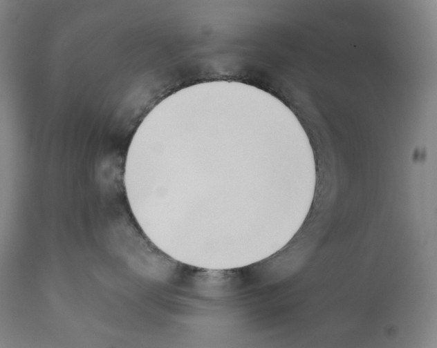 X0000110760672200907061056