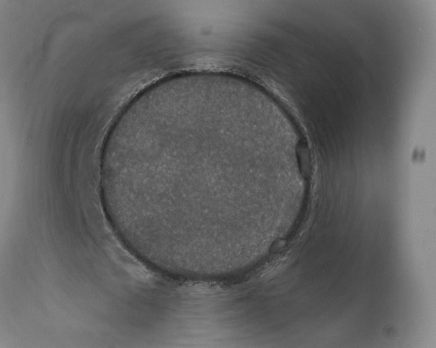 X0000110760673200907061055