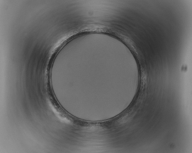 X0000110760674200907061055