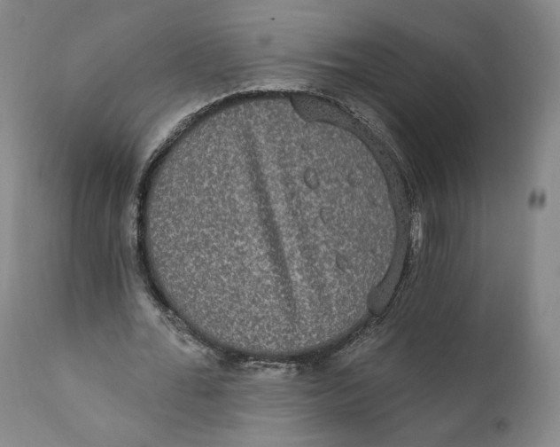 X0000110760676200907061055