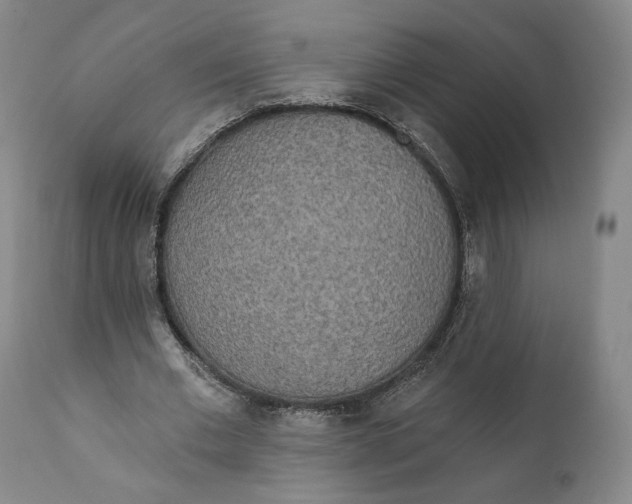 X0000110760677200907061055
