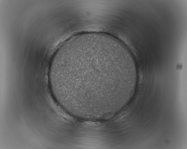 X0000110760681200907061055