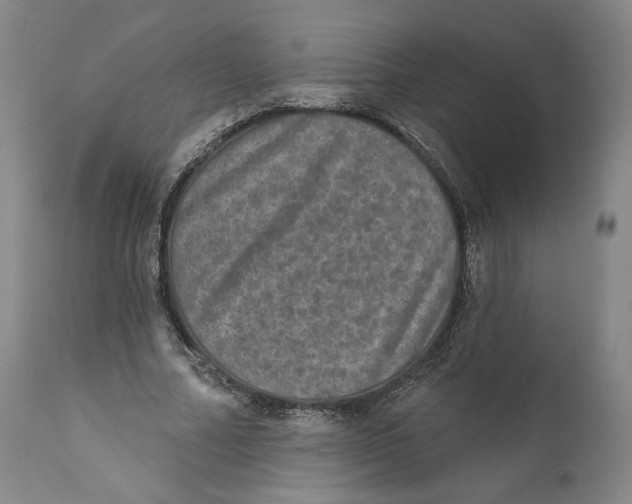 X0000110760682200907061055