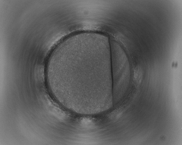 X0000110760684200907061055