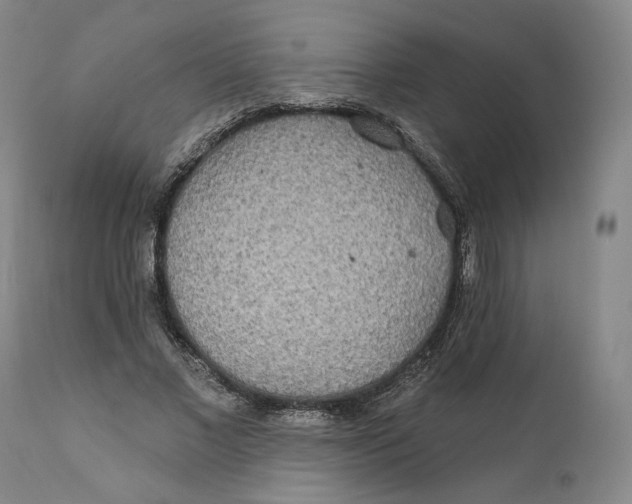 X0000110760685200907061055