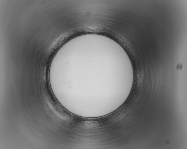 X0000110760686200907061055