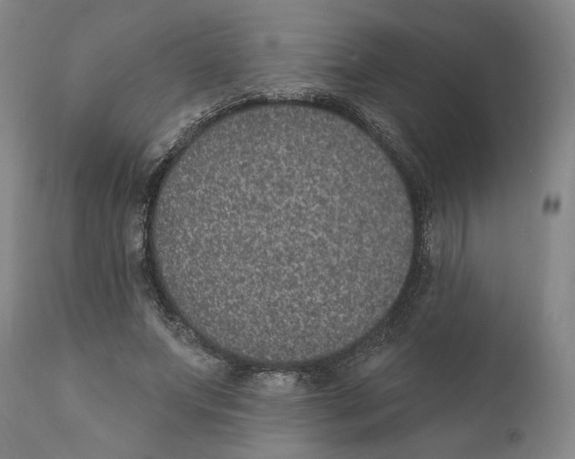 X0000110760687200907061055