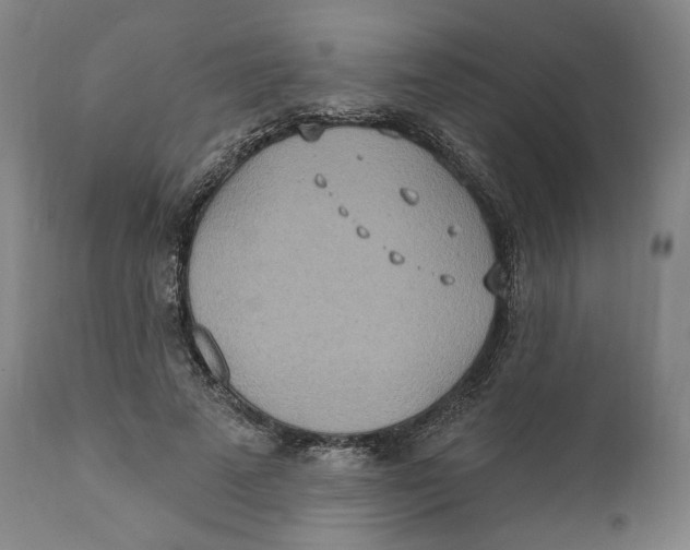 X0000110760689200907061055