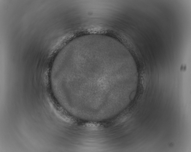 X0000110760690200907061055
