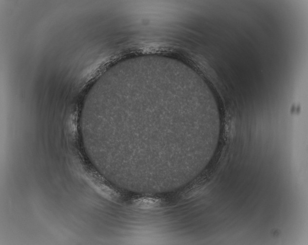 X0000110760691200907061055