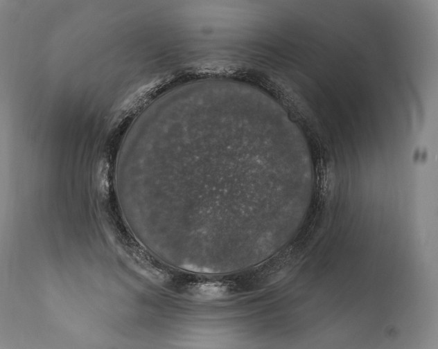 X0000110760692200907061055